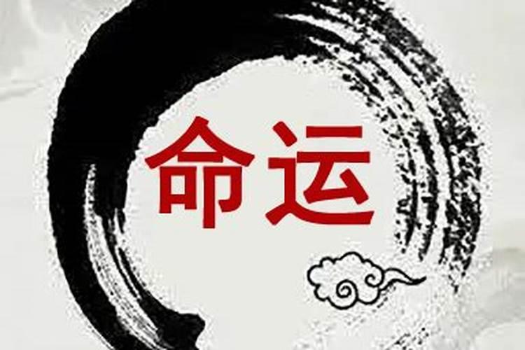1980年属猴人2025年全年运势运程