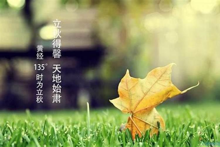 女人梦见自己被骗了钱