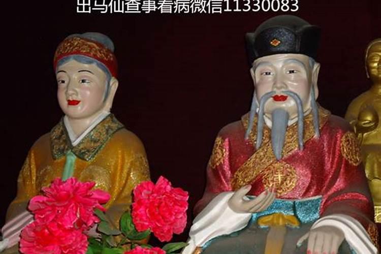 什么样的太岁肉灵芝品质最好？