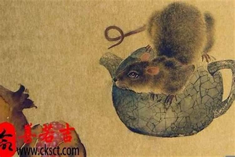 鸡狗八字有合的吗金鸡玉犬破解之法