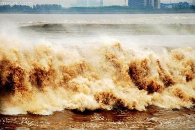 梦见水来势汹汹什么预兆