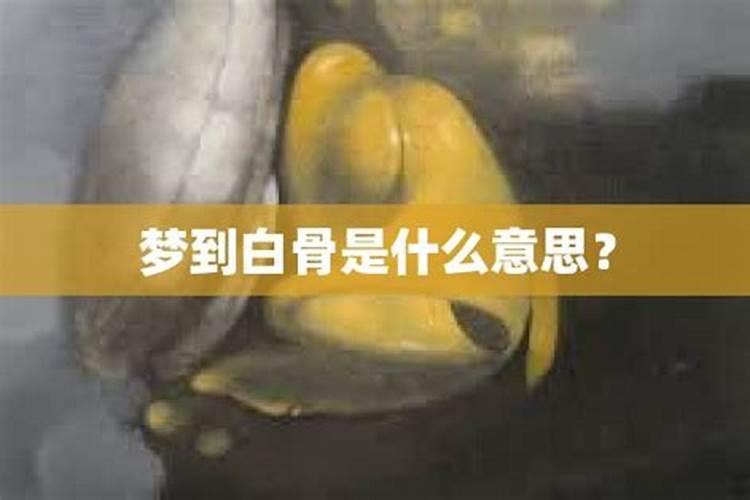 梦见白骨是什么兆头