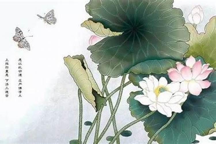 清明节上坟一个坟一束花还是一人一束花清明节上坟一个坟放几束花