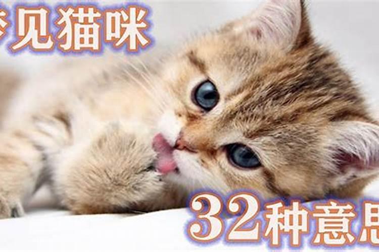 2022属虎的本命年搬家有哪些讲究属虎人2022年虎年可以装修盖房吗