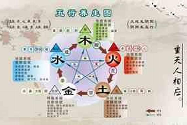 什么是八字的“三合、三会”