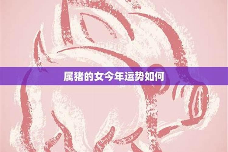 1980年属猴人2025全年运势 1980年属猴2025年运势完整版