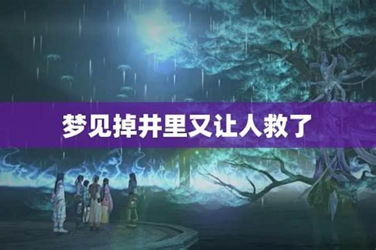 属兔的运气最好的三个年龄