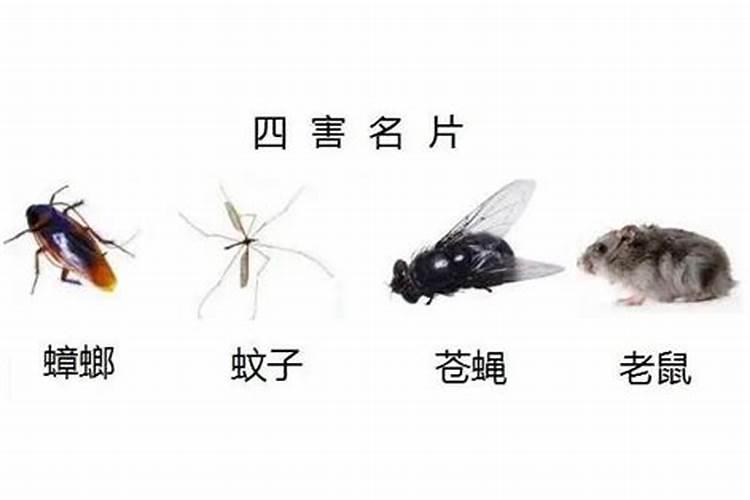 感情不顺总遇不到正缘怎么办