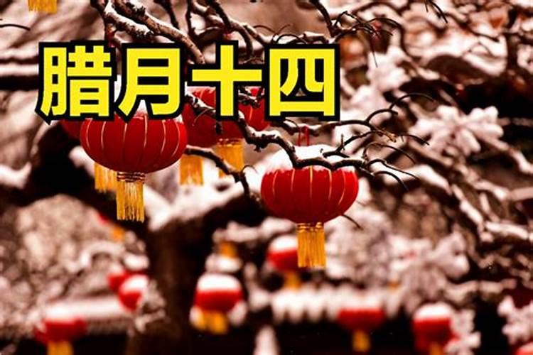 71年的猪在2024年的运气如何