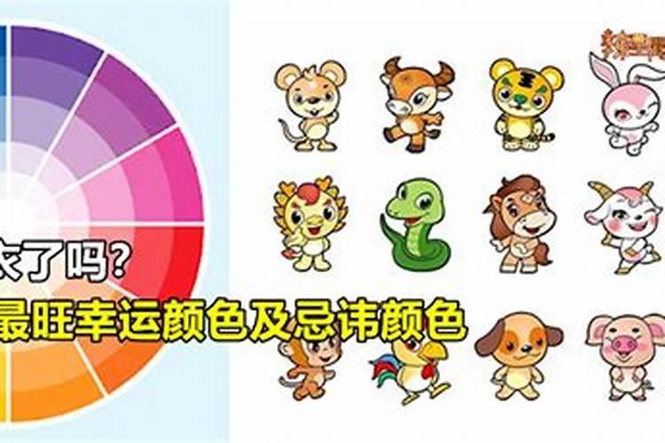 清明假如在周六、周日,是补周一的课么？