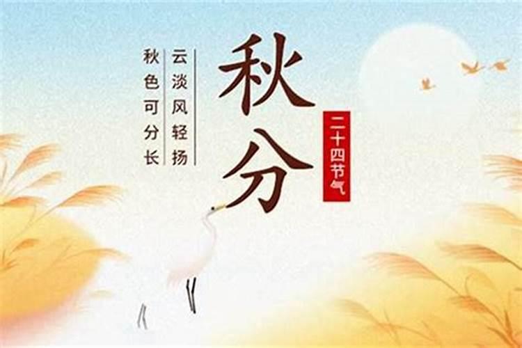 71年属猪男在2025年的全年运势