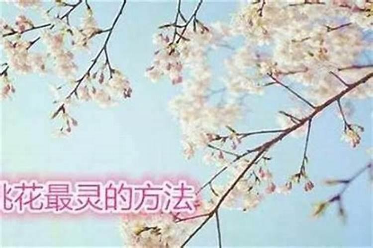 2023大年初一女儿能上坟吗