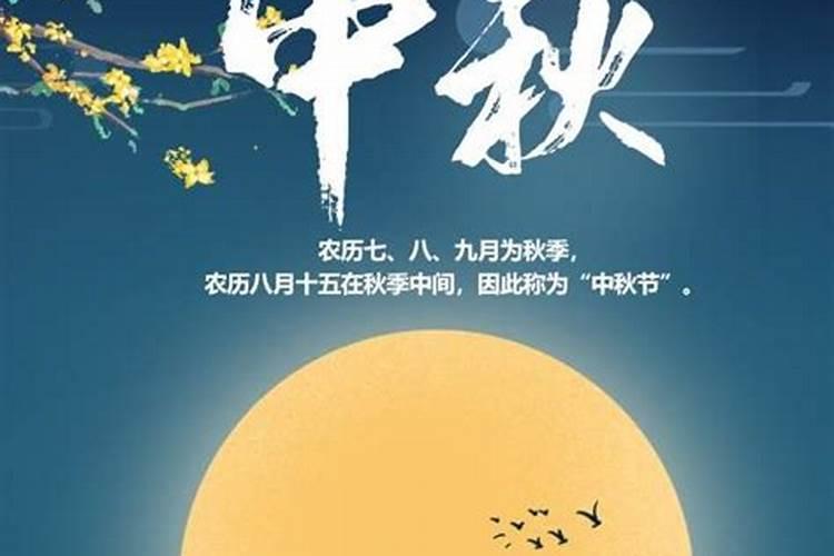 1971年属猪2024年破太岁运气如何 71年51岁生肖猪犯太岁如何化解