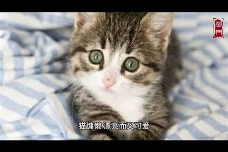 梦见下水道堵了通下水道的预兆