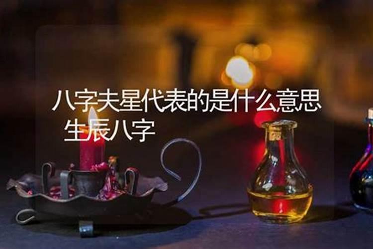 属龙和属蛇的命运如何