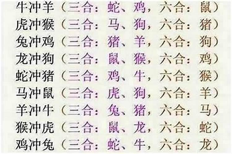 女属猴找什么属相最好