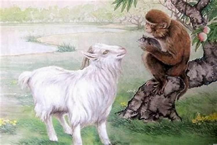 重阳节出生的纯阳女 天生运势强悍？