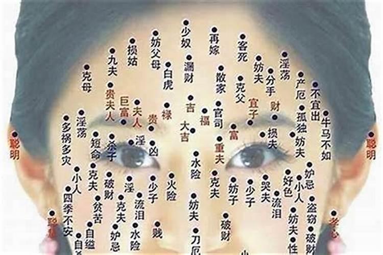 小人指什么生肖