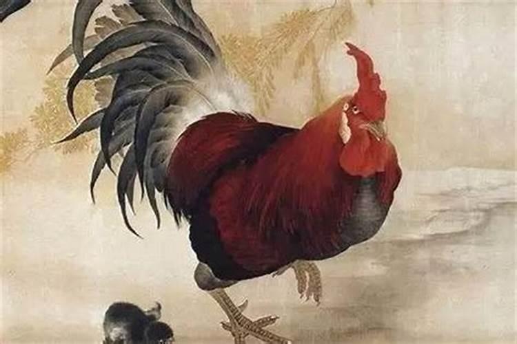 属羊害太岁如何化解