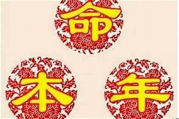 梦见院子里有好多人干活