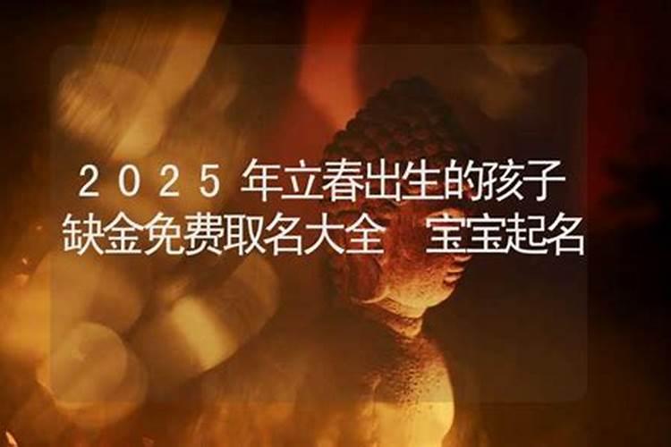 2025年大年初三出生的男孩起名 意指气宇轩昂