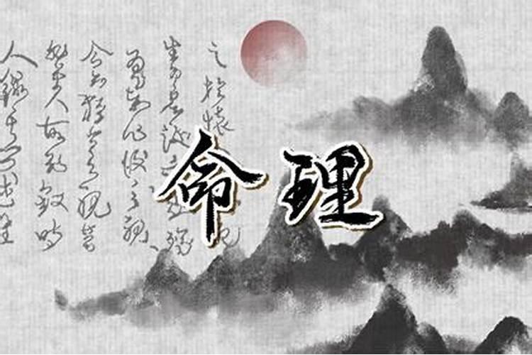 2025啥年属相