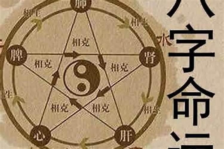 1969年属鸡女2024年全年运势及每月运势