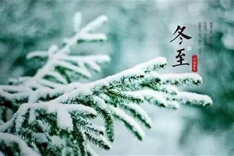 公历1989年11月12日是什么星座运势如何