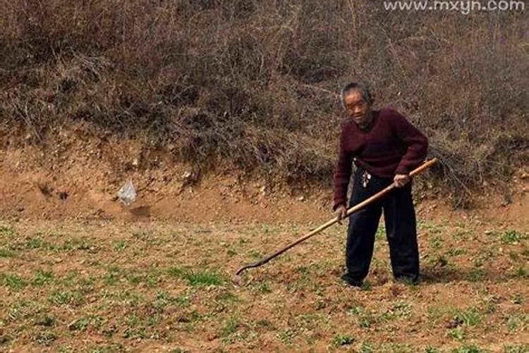 孕妇梦见回老家是什么意思 孕妇梦见回老家有什么预兆