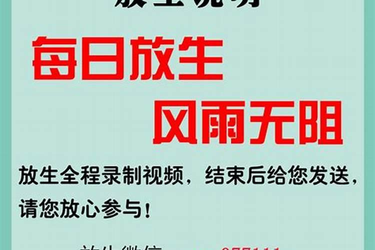 为已故亲人放生应该怎样做