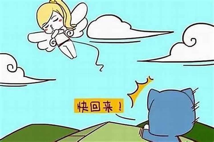 88龙82狗婚配是相害,82年属狗女跟88年属龙男相配吗