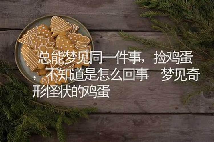 梦见马是什么预兆 男性