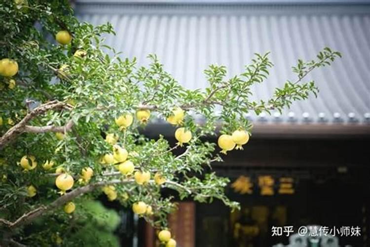如何读《地藏经》