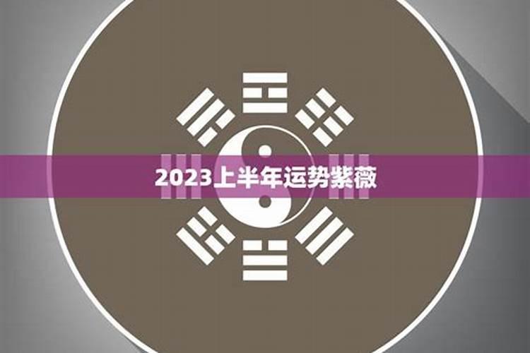 1973属牛未来十年婚姻感情会怎样1973年属牛几月出生好