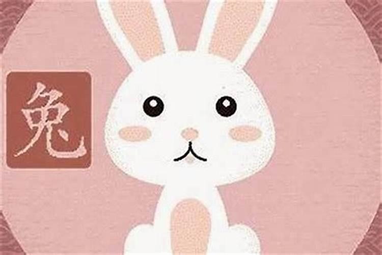 87年9月兔男和94年4月狗女好不好
