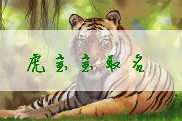 2025年的生肖是什么生肖