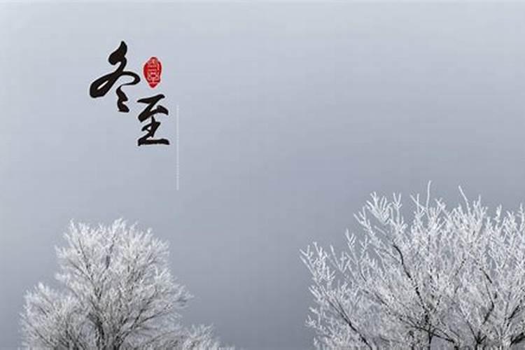 正月初二是什么星座的