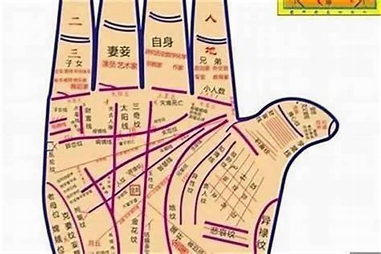 属马的人今年如何躲太岁