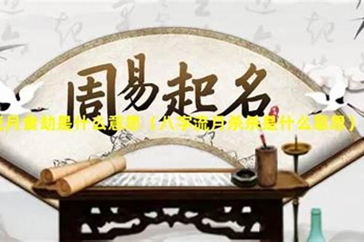 流月食劫是什么意思
