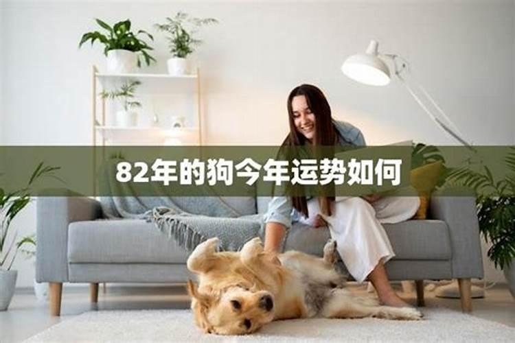 财神爷的正确摆放位置