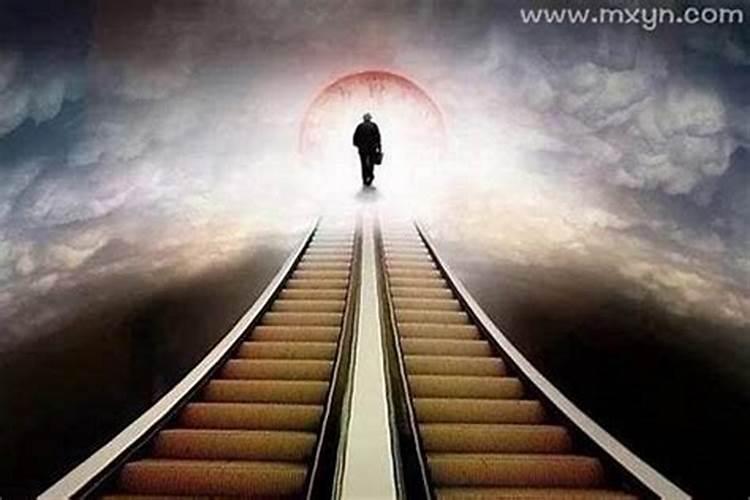 梦见多人都死了的预兆