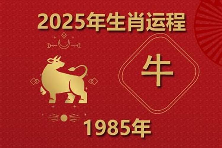 属牛人蛇年运势2025年运程如何