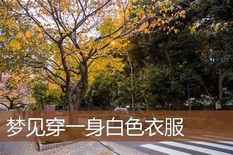 梦见白衣尸体的预兆