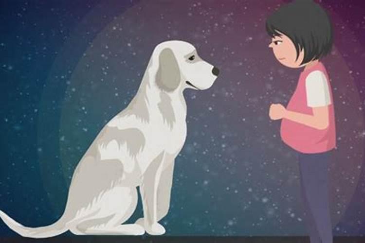 女人梦到狗是什么征兆 女人梦见狗好不好