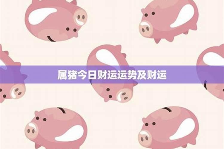 今天属猪人的偏财运如何？