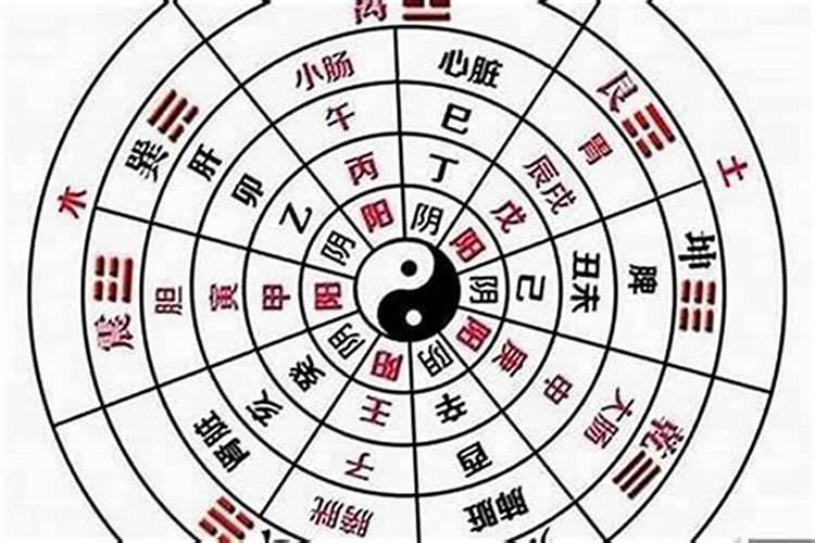 八字十二地支五行取象法
