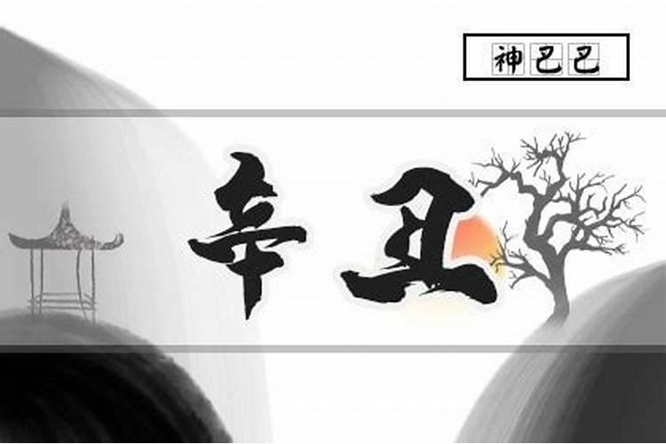 春节去上海哪玩比较好