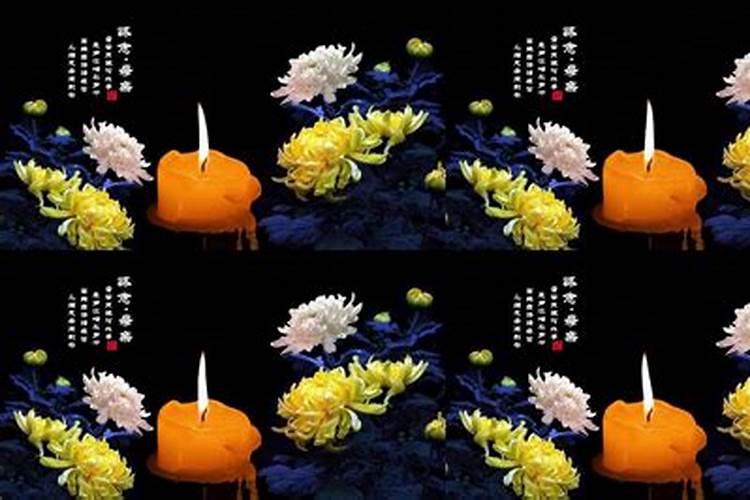 1988年正月初五生的人命运好吗