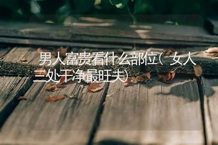 一个人有没有财运看哪里