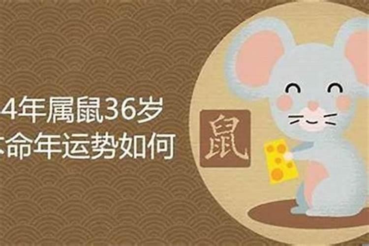 属鼠本命年的大忌需要注意什么